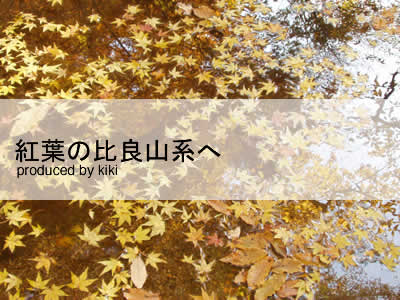 紅葉の比良山系武奈ヶ岳