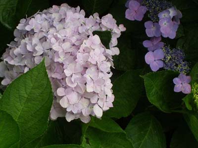 P7200168
